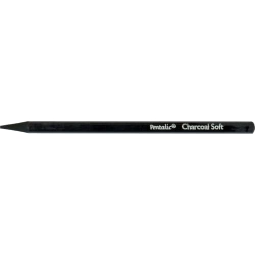 Pentalic Woodless Charcoal Pencils Hard miniatura 1