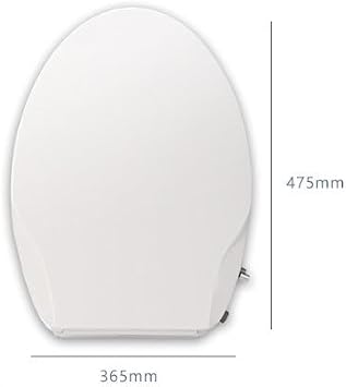 Hot & Cold Dryer Smart Toilet Seat, Electric Bidet Smart Toilet Seat Cover W/Nozzle Self-Cleaning