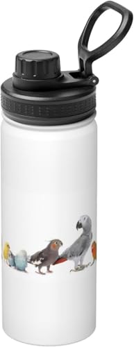 CR    ^fM X|[c{g XeX d\ ۉ ۗ ԍڃJbv g 530ml  ^ Rɂ 􂢂₷  ʋ ԗp v[g