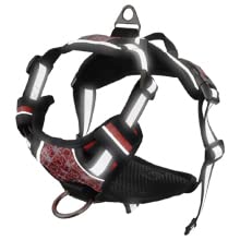 VanGeeStar Pettorina Cane, Gilet per Cani