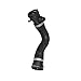 Curved Radiator Hose