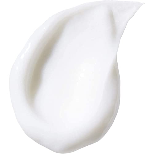 Redken Curvaceous Curl Refiner Cream | For Curly Hair | Curl Defining Primer That Helps Control Frizz | With Moringa Oil | 8.5 Fl Oz #TOP2