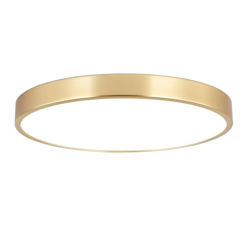 SOTTAE 9 Inch Brushed Gold Metal Flush Mount LED Ceiling