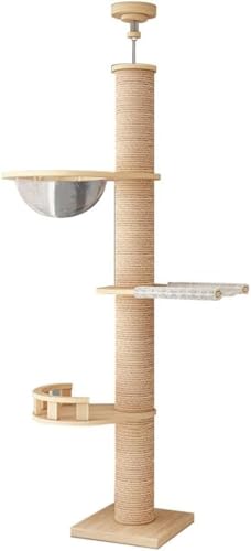 Nozuma XؐeVLbg^[ FDfUC ^LELœK VOeBAc[  + nbNt ȃXy[X Œ/