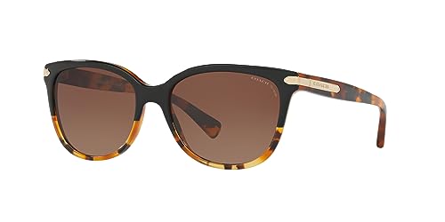 Image of Coach womens Hc8132 Cat Eye Sunglasses