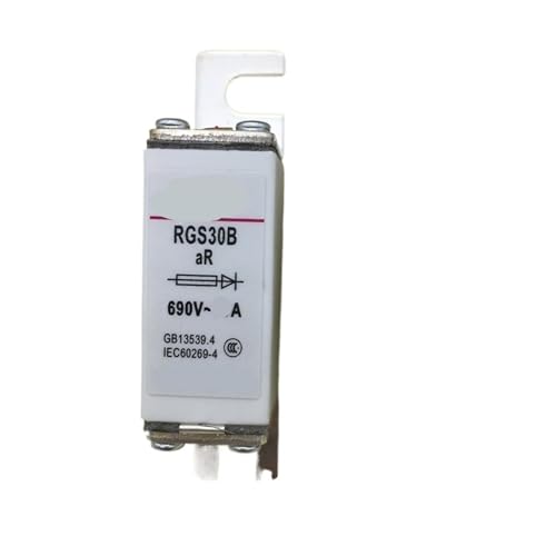 Fusible rapide en céramique RGS30B 690V AR 25A pour protection d'équipements