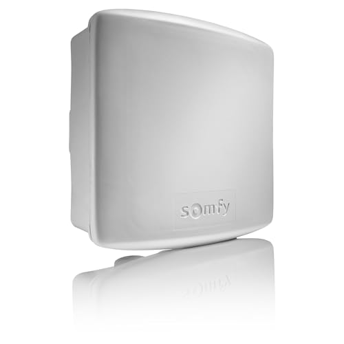 Somfy 2400556 - Récepteur Portail/Porte de Garage extérieur Universel | Technologie RTS