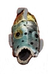 Folkmanis piraña