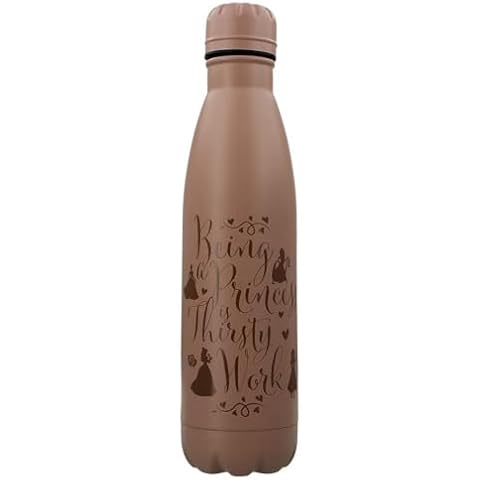 Disney Princess 19oz Metal Water Bottle Cover