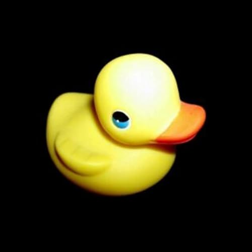 SCP-1356 Rubber Ducky Podcast Por  arte de portada