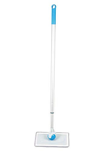 fIbv | bv  Lb`  Ki Ԍ˂܂