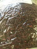 Red Yeast Rice｜Hong Qu Mi｜红曲米｜Monascus purpureus (1 LB)
