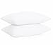 DreamHome Set of 2 Wrinkle Resistant Ultra Soft Pillowcases with Envelope Closure (Standard, White)