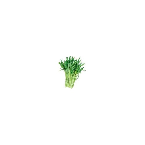 1000x Wasserspinat Samen Ipomoea Aquatica | Hohe Keimrate | Premium Saatgut | Wasserpflanze