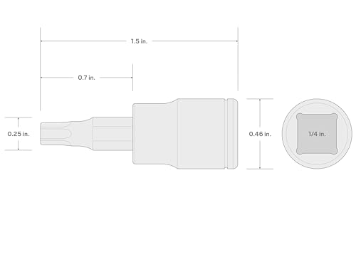 Image of TEKTON 1 /4 Inch Drive x T25 Torx Bit Socket | SHB04225