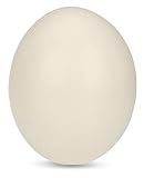 ausgeblasene eier aufhängen Bei diesem großen Straußenei in Weiß-Perlmutt handelt es sich um ein reines Naturprodukt. Aus diesem Grund ist es möglich, dass das naturfarbene Sammlerei von der Beschreibung und der Abbildung abweicht