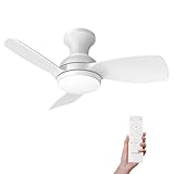 Consciot Ceiling Fan, 30 Inch Ceiling Fan With Lights Remote Control, White Low Profile Modern Ceiling Fan, Flush Mount, Reversible Quiet DC Motor, 6 Speed, Dimmable, Kitchen Bedroom Patio Damp Rated