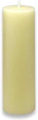 Amazon Com Zest Candle Cpz 168 24 2 X 6 In Pale Ivory Pillar Candle 24pcs Case Bulk Home Kitchen