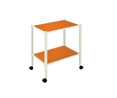 cxbh LSS(LX^[t) TB-1010-01 55×s46×70cm IW