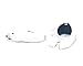 Batty Bargains Fuzzy Bobblehead Polar Bear with Car Dashboard Adhesive