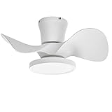 ocioc Quiet Ceiling Fan with LED Light 22 inch...