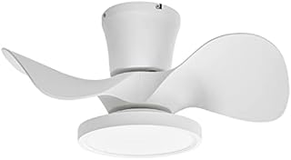 ocioc Quiet Ceiling Fan with LED Light 22 inch Large Air Volume Remote Control for Kitchen Bedroom Dining Room Patio