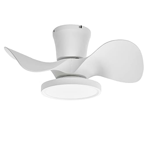 ocioc Quiet Ceiling Fan with LED Light 22 inch Large Air Volume Remote Control for Kitchen Bedroom Dining Room Patio