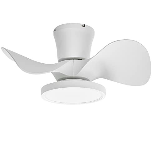 ocioc Quiet Ceiling Fan with LED Light 22 inch Large Air Volume Remote Control for Kitchen Bedroom Dining Room Patio by ocioc - Used condition - US$52.24