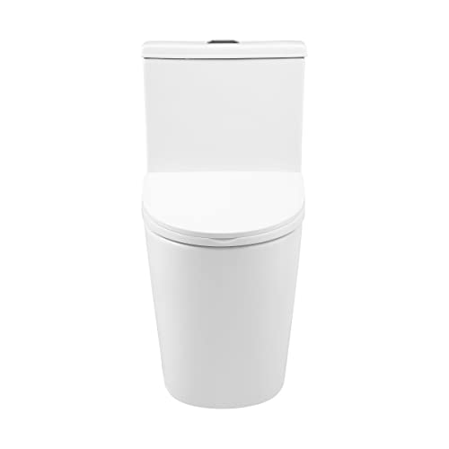 Dreux One Piece Elongated Dual Flush Toilet with 0.95/1.26 GPF