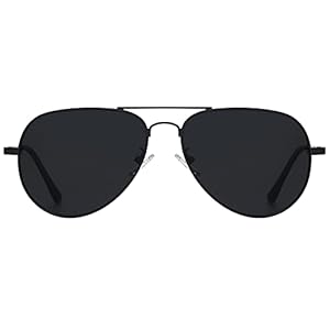 H HELMUT JUST Lunettes de Soleil Homme Femme Aviateur Polarisées Classique en Métal Anti éblouissement