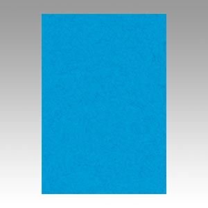 iƖpZbgj ^ j[J[R c 271×c392mm 8NCR-216  100 y×2Zbgz ds-1530473