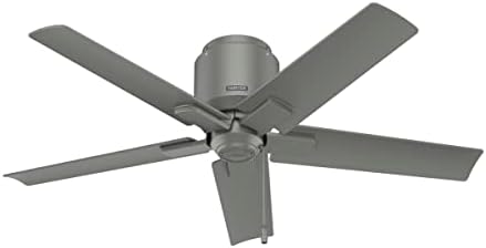Hunter 44 inch Outdoor or Indoor Ceiling Fan No Light - Ceiling Fan without Light, For Patio, Porch, Garage, or Living Room, Low Profile Mount, 5 Blades, Pull Chain - Terrace Cove 51582, Matte Silver