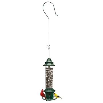 Brome Squirrel Buster Plus Revealed – What You Didn’t Expect! 3 brome squirrel buster plus