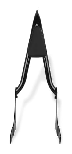 Dossier sissy bar Rebel 1100 amovible et porte-bagages arrière noir moto CMX1100 custom