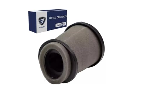 Elemento Filtro De Aire Original Moto Italik+a Ft125 Ft150 125z Dt125 Sport FT125 Sport + Modelos