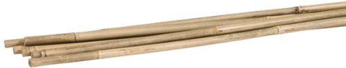 Gardener's Blue Ribbon BB5 6-Pack Bamboo Plant Stakes, 5-Feet, Natural