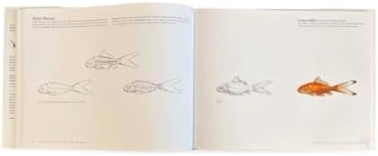 Science of Creature Design: understanding animal anatomy