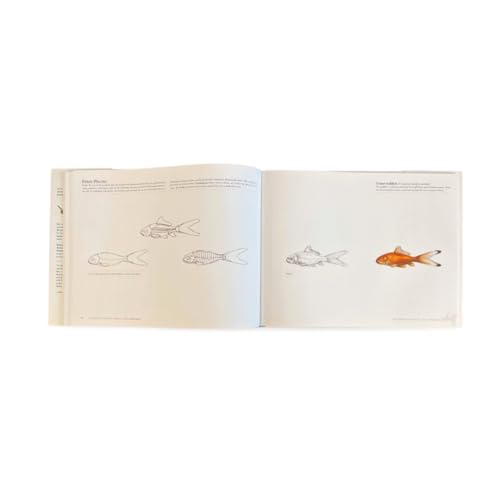 Science of Creature Design: understanding animal anatomy