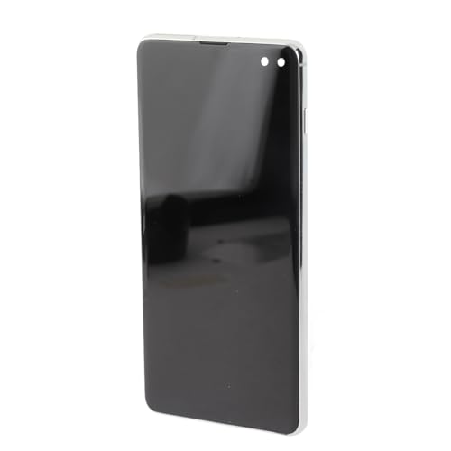Assemblage Numériseur Tactile 3D S10 Plus Écran LCD Haute Résolution de Haute Qualité