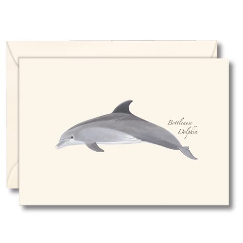 Image of Earth Sky + Water - Bottlenose Dolphin Notecard Set - 8 Blank Cards with Envelopes