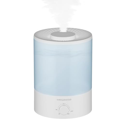 best humidifier for singers