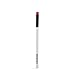 Colorbar Fabulips Lip Brush