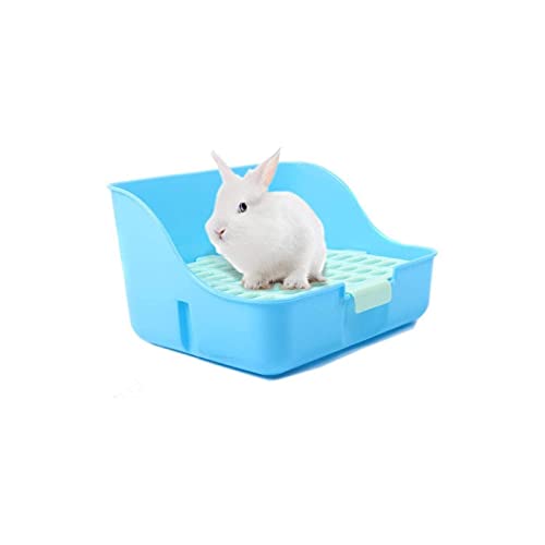 25 Best Hedgehog Litter Boxes and Pans of 2020 (Reviews & FAQs)