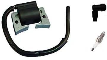 Ignition Module with Spark Plug Compatible with Yamaha Golf Cart G16 G22(1996-2007), Replace JN6-85640-01 EPIGC106