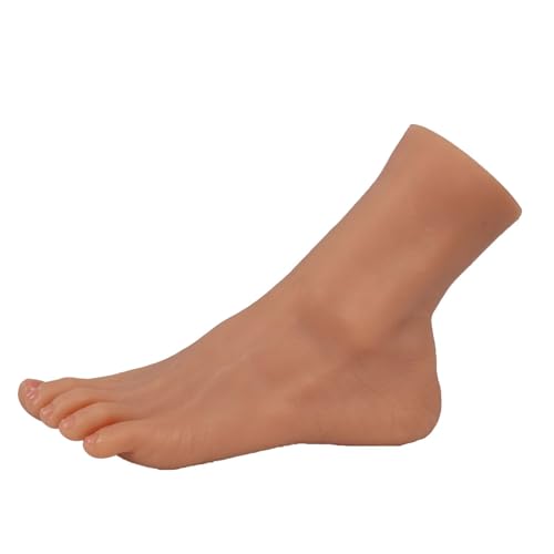 VnmcryVR͌^ fl` 4FA}lL fbTl`g lCKf VR 21.5Cm  AWAnF