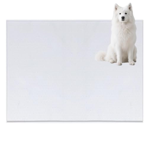 Lifetips TGhiSamoyedj gC}`FX^[eA ybggC}bg VR h ~ 􂦂  L V[gh~ g[p t[Oی ybggC}bg VR}bg ΍ gCV[gŒ 