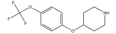 4-[4-(Trifluoromethoxy) phenoxy] Piperidine,CAS:287952-67-4, with high purity98%, 100g