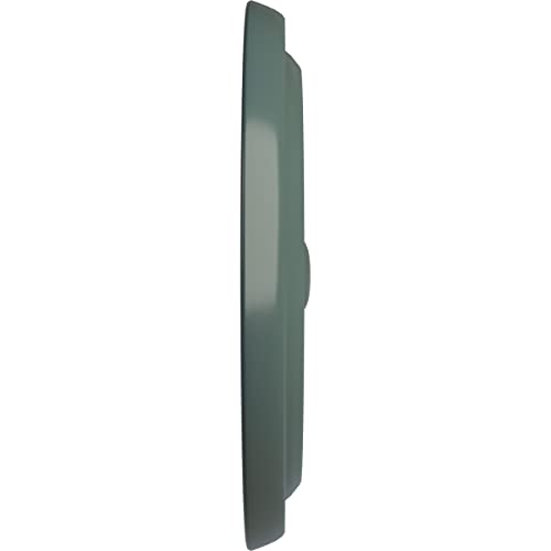 Image of 9 5 /8 inchOD x 1 1 /8 inchP Maria Ceiling Medallion (Fits Canopies up to 1 3 /4 inch), Cloud Burst