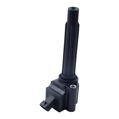 Bobina de encendido BDW1N116 para motor LIFAN X80 2.0T LF483ZLQ 2