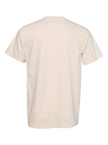 Image of Comfort Colors Adult Short Sleeve Tee, Style G1717